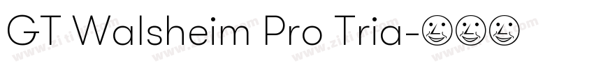 GT Walsheim Pro Tria字体转换